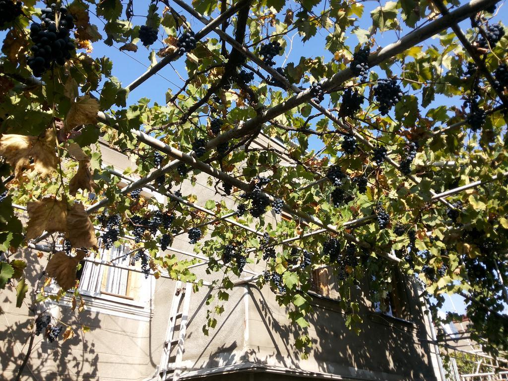 גורי Guest House Svetlana מראה חיצוני תמונה