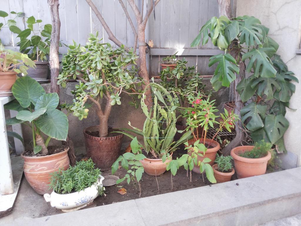 גורי Guest House Svetlana מראה חיצוני תמונה