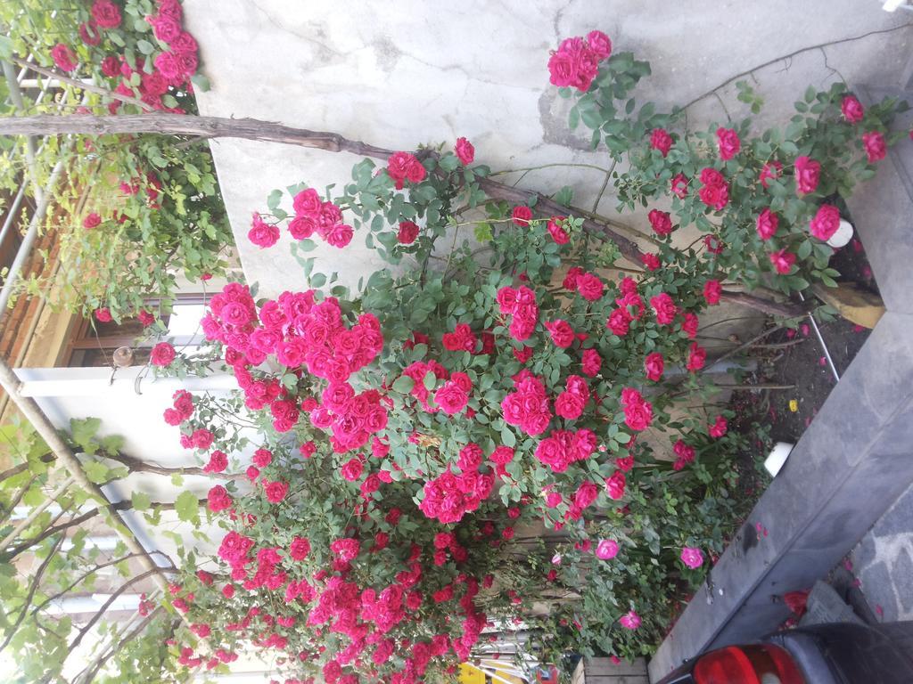 גורי Guest House Svetlana מראה חיצוני תמונה